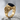 Onyx Ram Horn Ring, gold vermeil, product photo at an angle