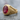 Ruby Lion Scroll Ring, gold vermeil finish, angled product photo