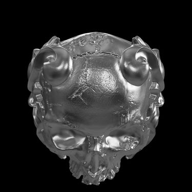 Baroque Skull Ring silver ring shown with size reference demonstrating actual dimensions