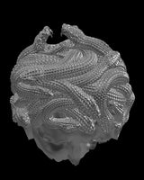 Interior perspective of Medusa Serpent Ring sterling silver ring revealing hidden classical figure within serpent crown design