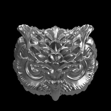 Wisdom Owl Ring silver ring shown with size reference demonstrating actual dimensions